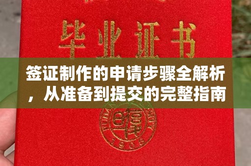 张店签证制作的申请步骤全解析，从准备到提交的完整指南