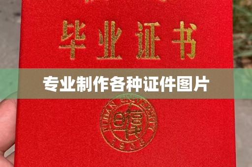 张店专业制作各种证件图片
