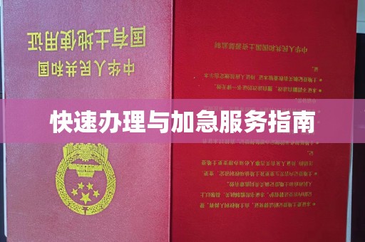 张店快速办理与加急服务指南