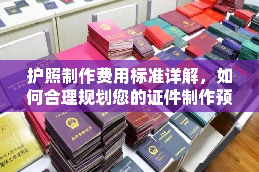 张店护照制作费用标准详解，如何合理规划您的证件制作预算