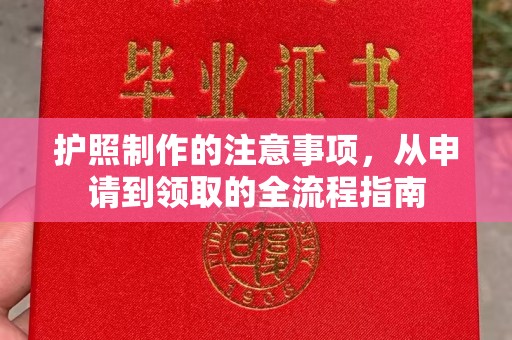 张店护照制作的注意事项，从申请到领取的全流程指南